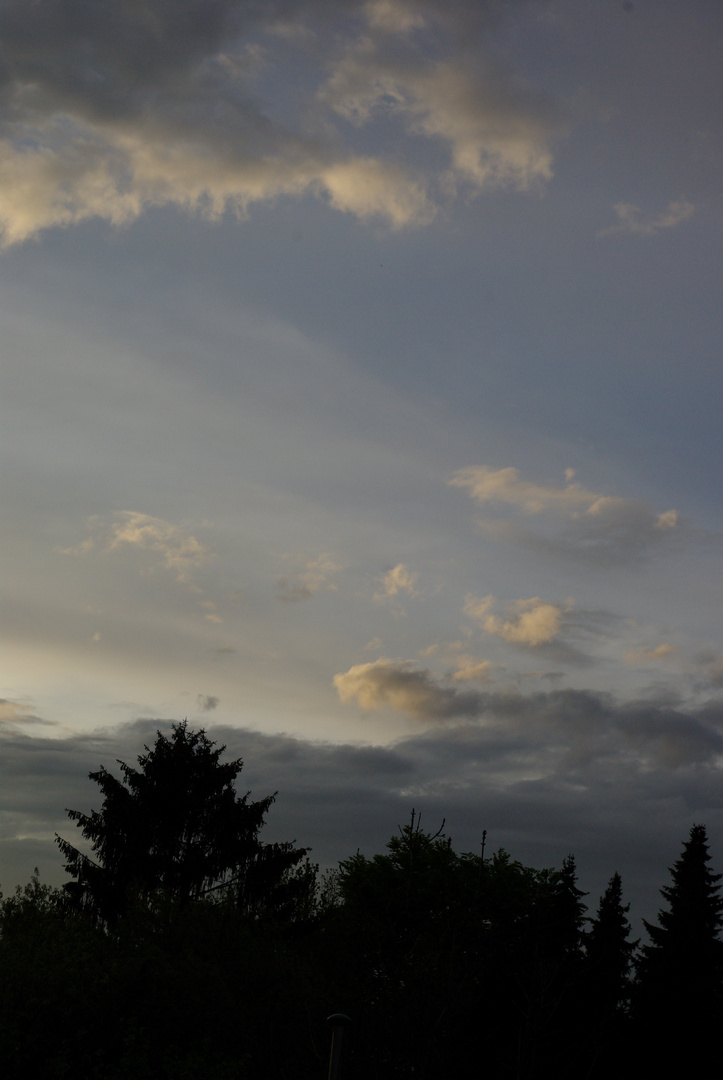 Der Himmel über dem Wald