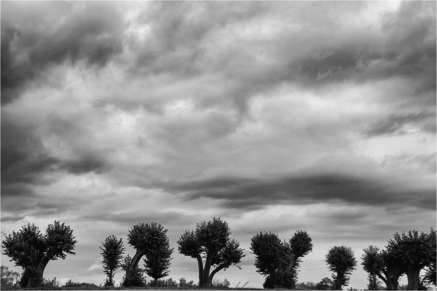 Der Himmel über den Weiden 