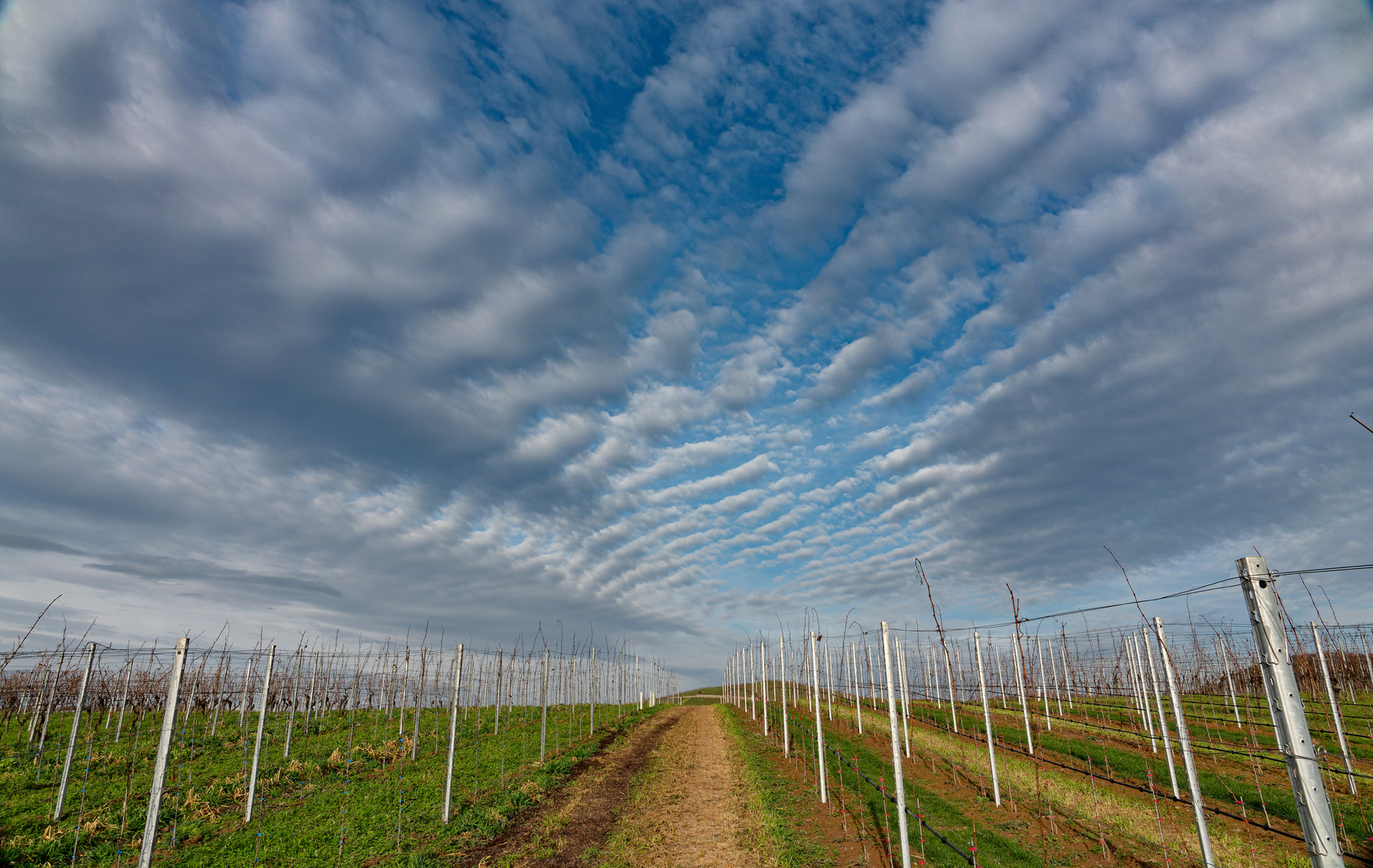 Der Himmel über den Weinbergen