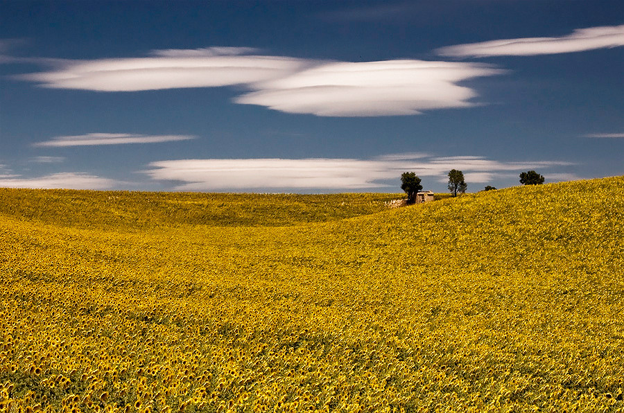 Der Himmel über der Provence