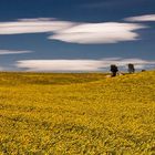 Der Himmel über der Provence