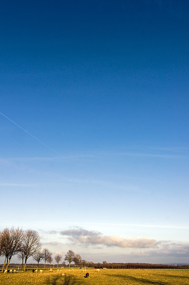 Der Himmel über Deutschland - 01.01.2016