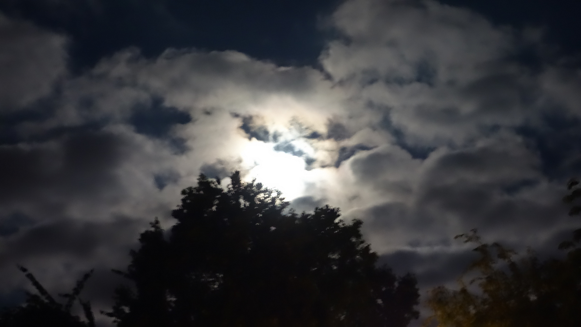 der Himmel über Heide