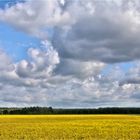 DER HIMMEL ÜBER MECKLENBURG