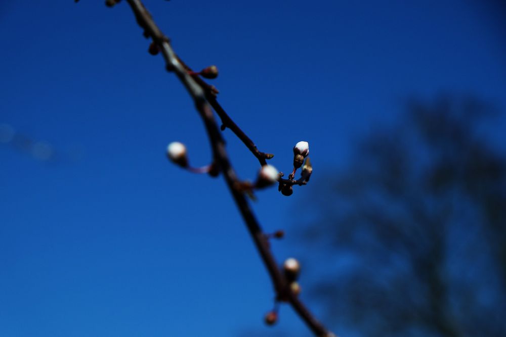 der Himmel über mir