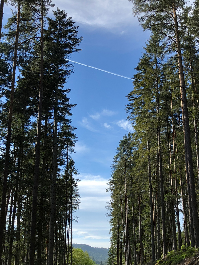 Der Himmel über mir ......