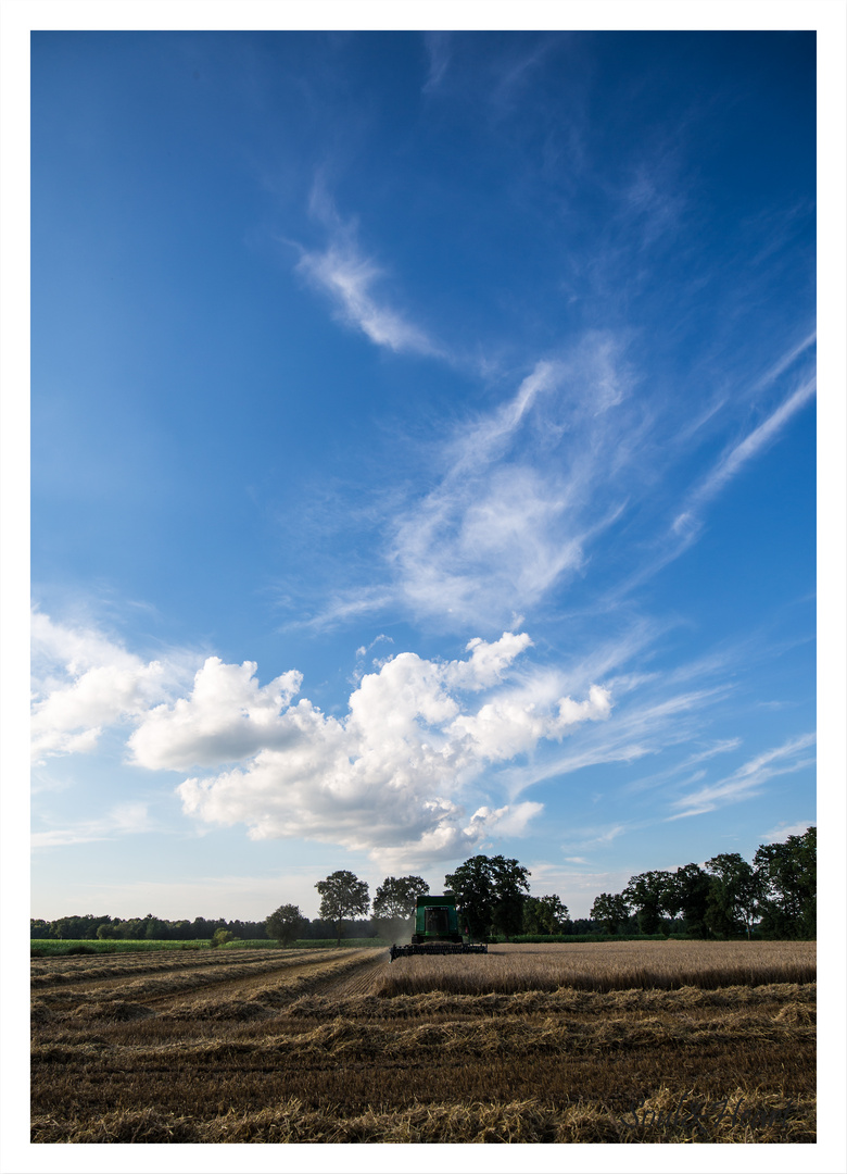 Der Himmel über Niedersachsens Mähdreschern