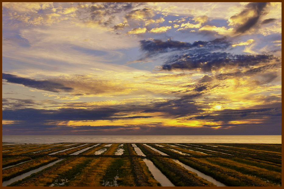 Der Himmel über Nordfriesland von Alfred Gschweng