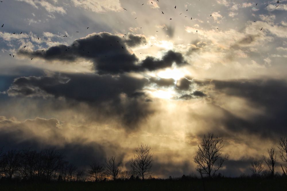 Der Himmel über Öland