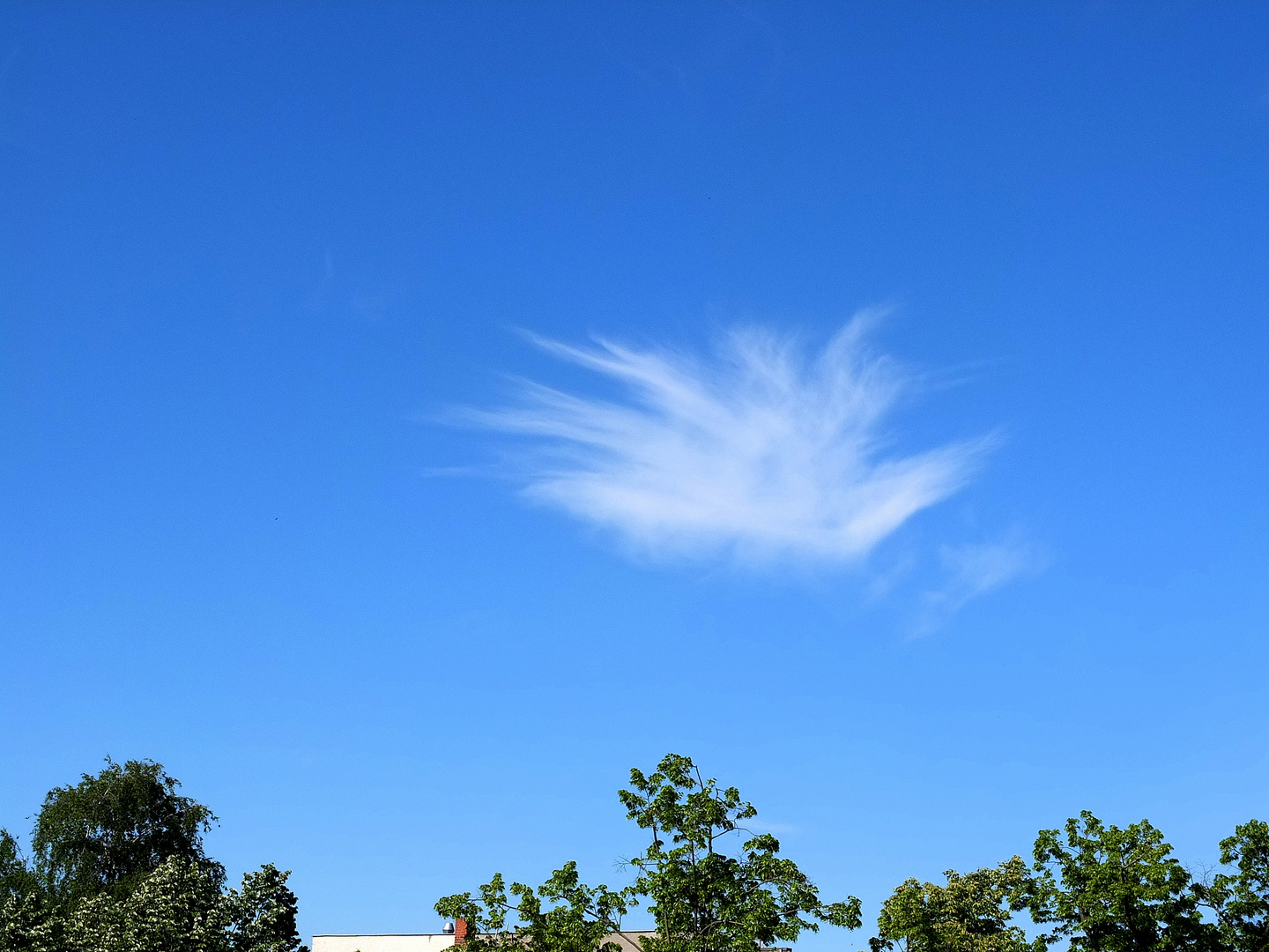 der Himmel über Tegel