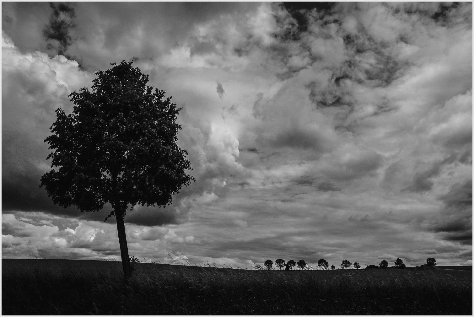 Der Himmel über uns