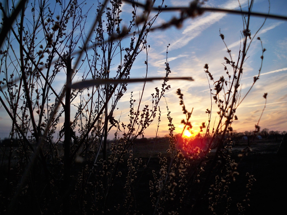 Der Himmel über uns