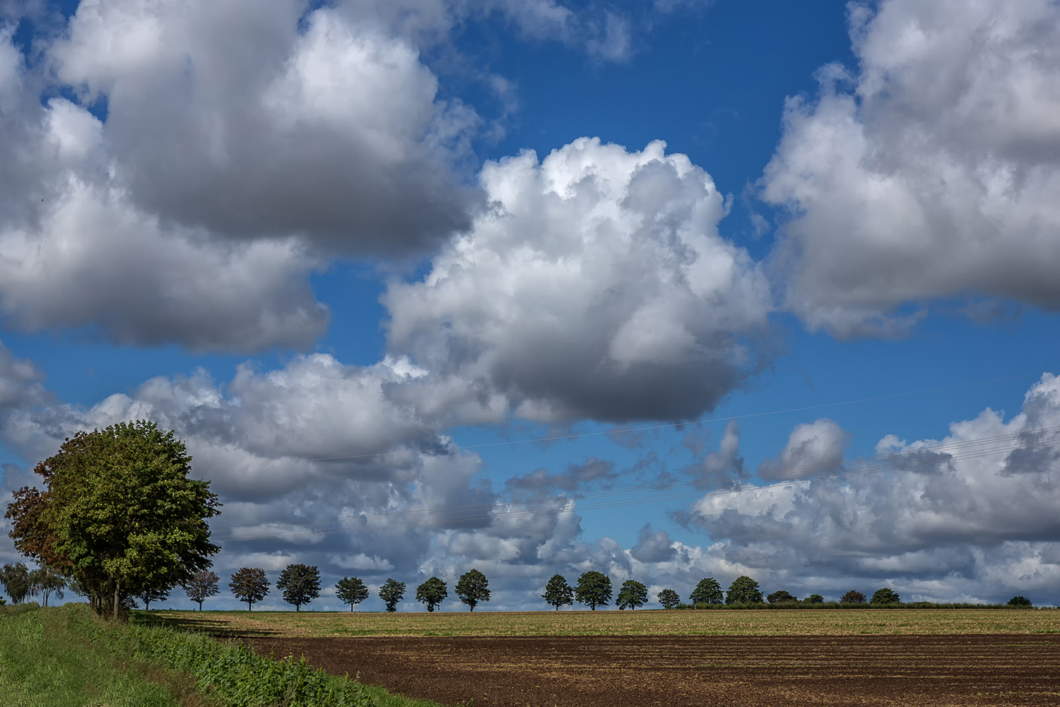 Der Himmel über uns . . .