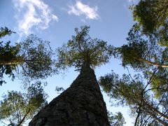 Der Himmel über uns