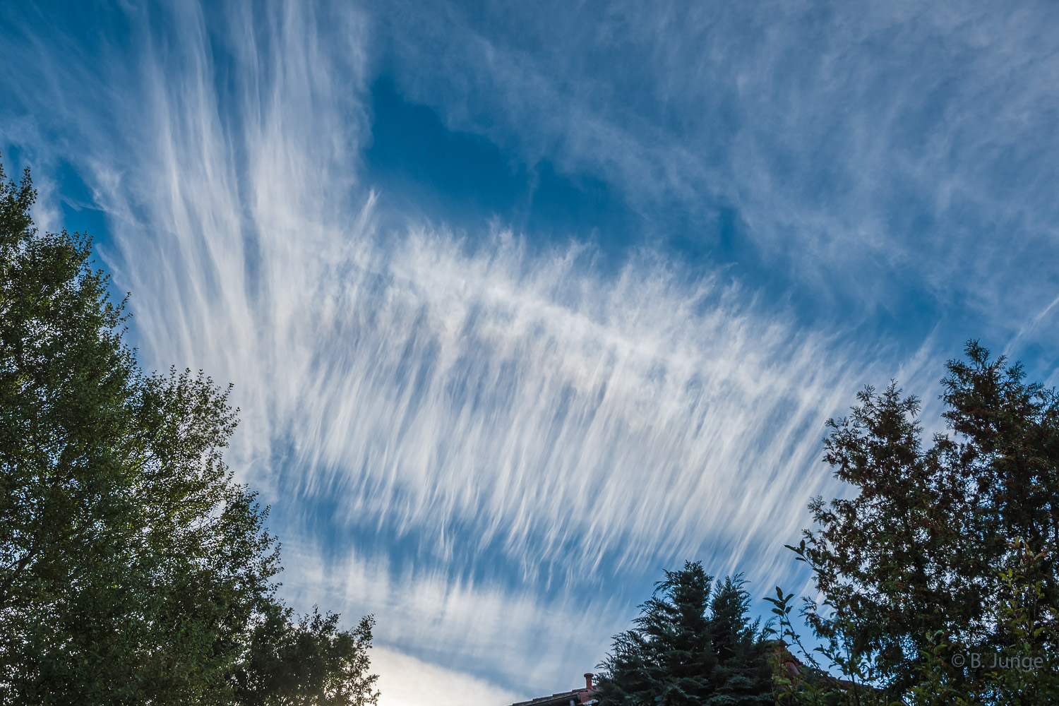 Der Himmel über unserem Garten