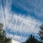 Der Himmel über unserem Garten