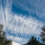 Der Himmel über unserem Garten