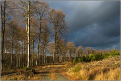 Der Himmel über Wittgenstein