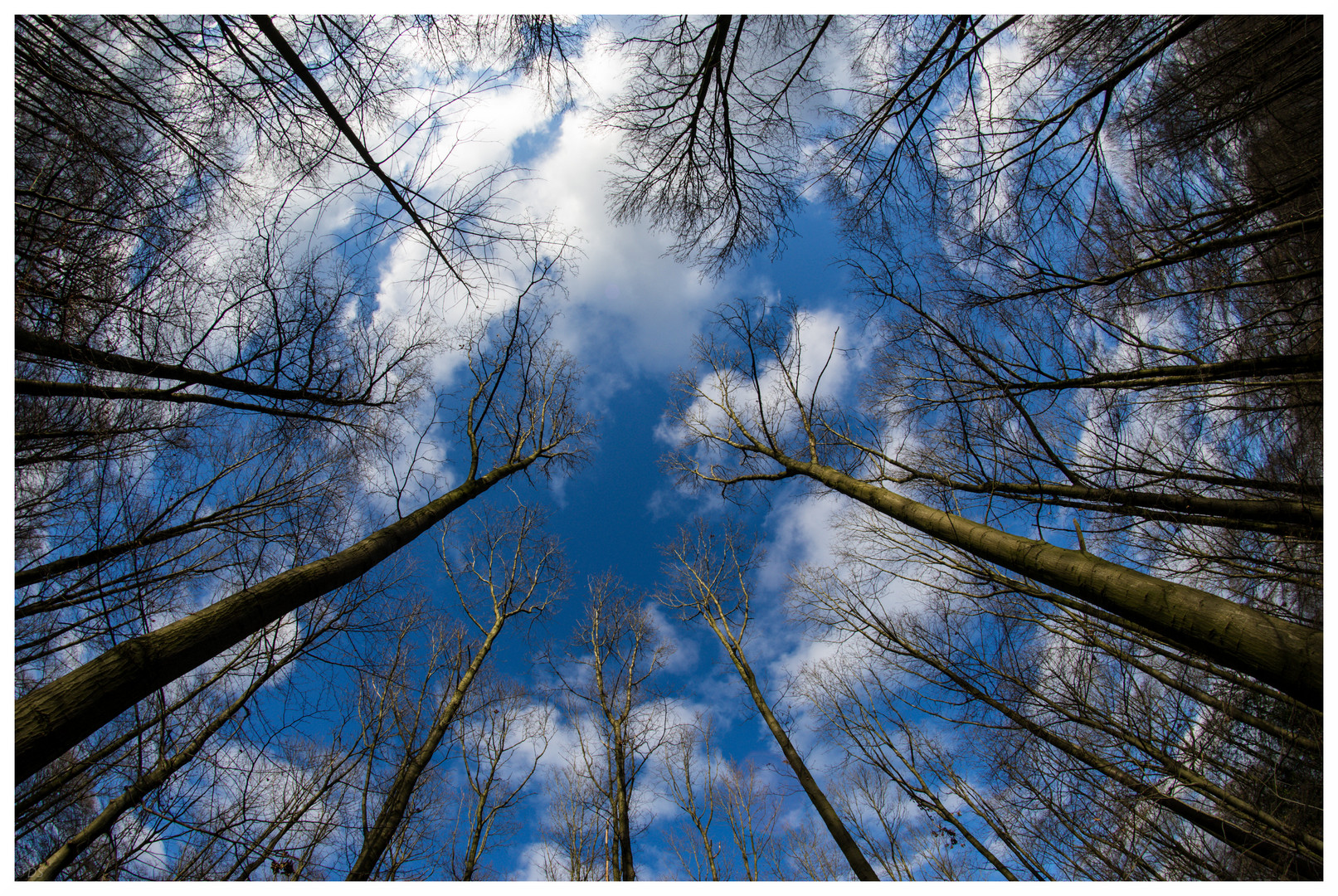 Der Himmel über Wuppertal ist doch blau