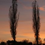 Der Himmel über zwei Zypressen