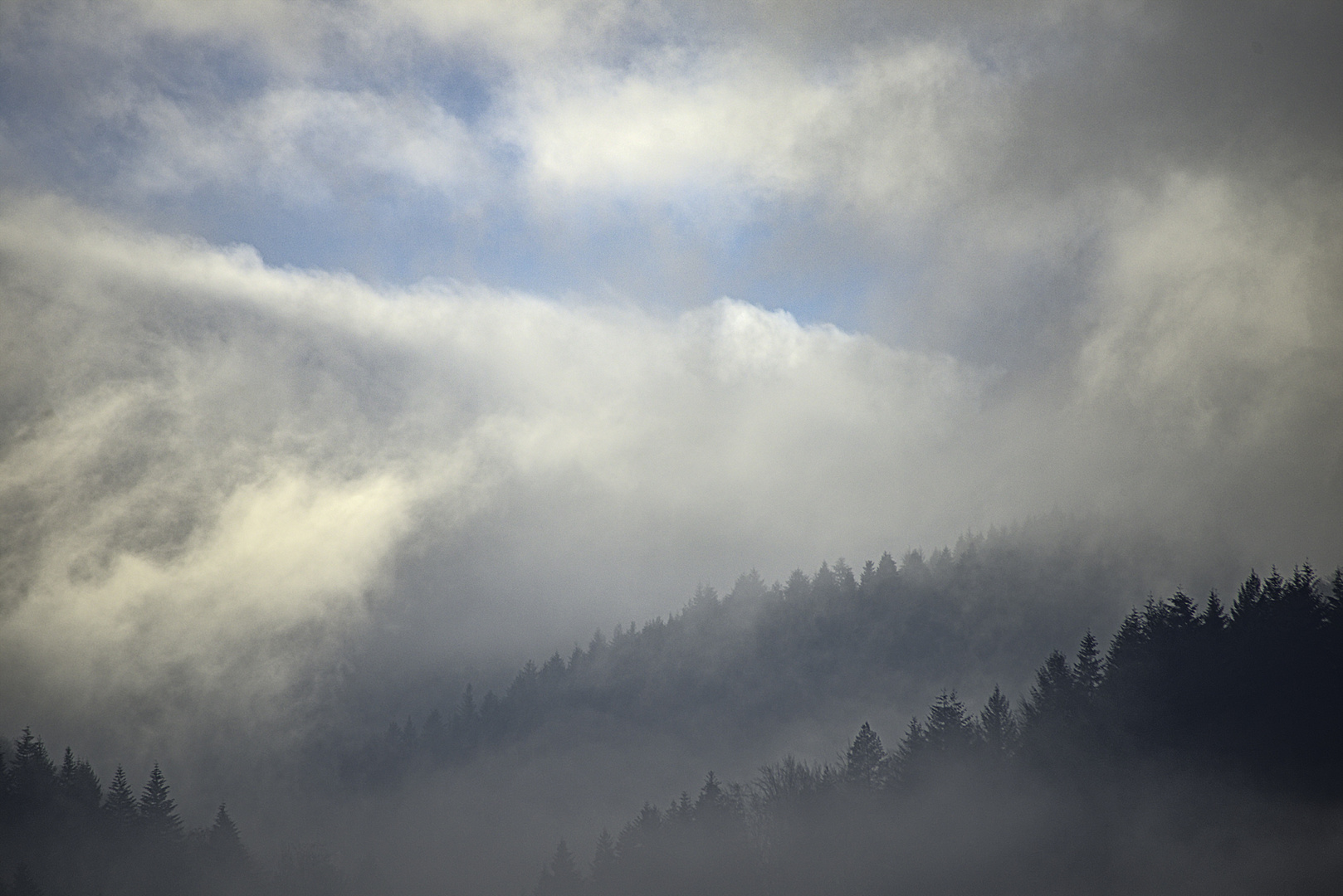 Der Himmel überm Dezemberwald