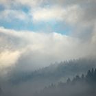 Der Himmel überm Dezemberwald