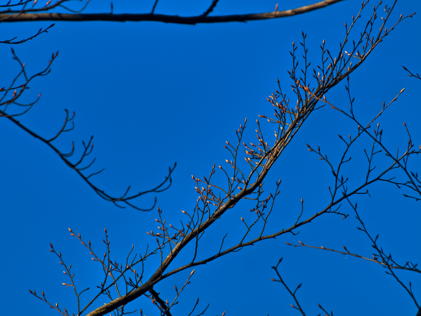 Der Himmel überm Schwarzwald