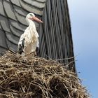 Der Himmel über...Uehlfeld