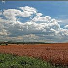 Der Himmel und die Wolken