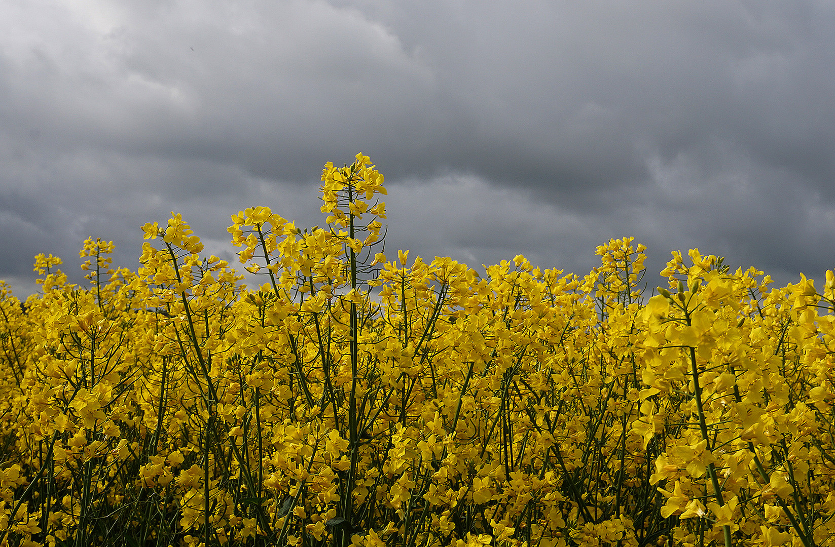 Der Himmel verdunkelt sich