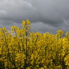 Der Himmel verdunkelt sich