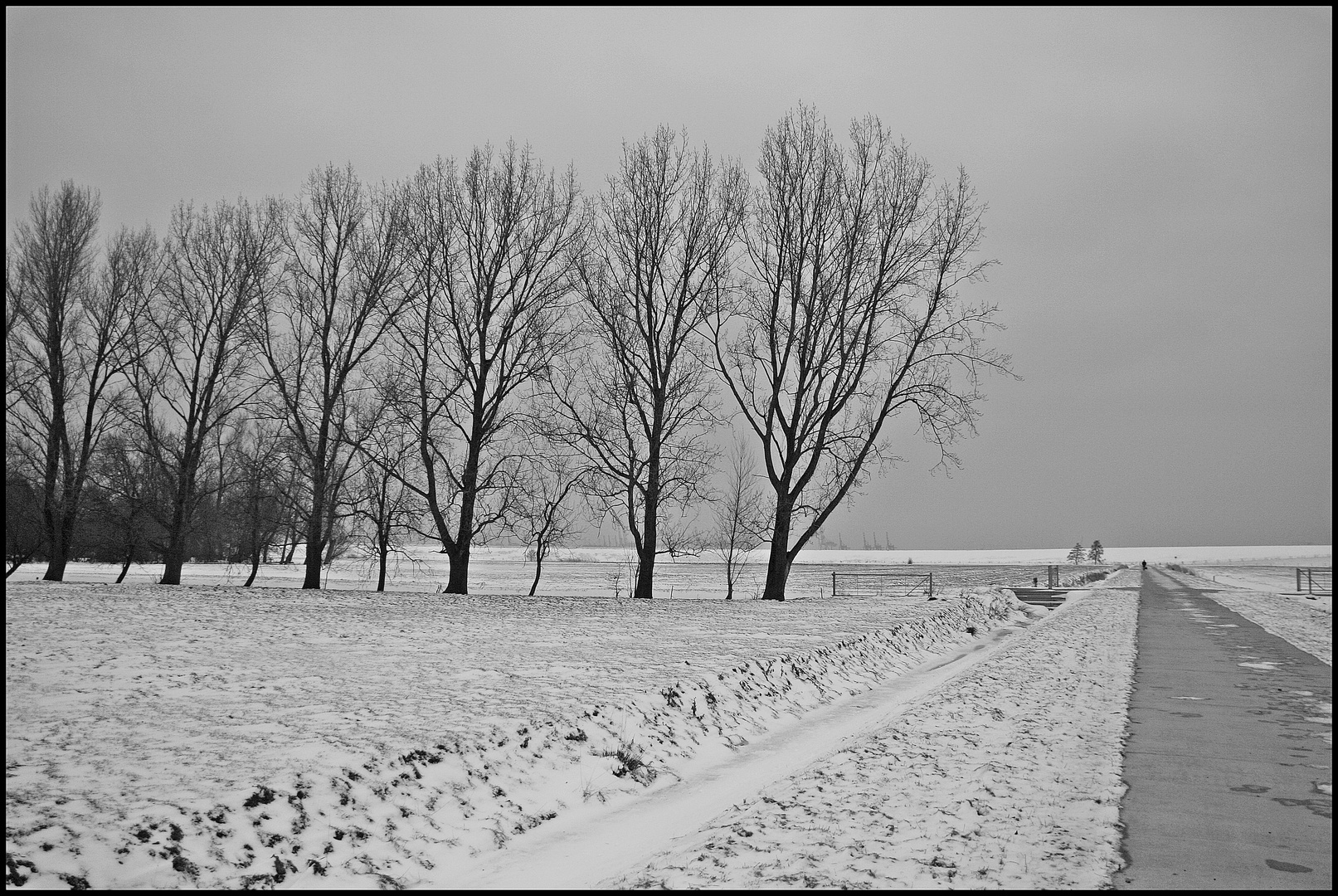 ...der Himmel voller Geigen...