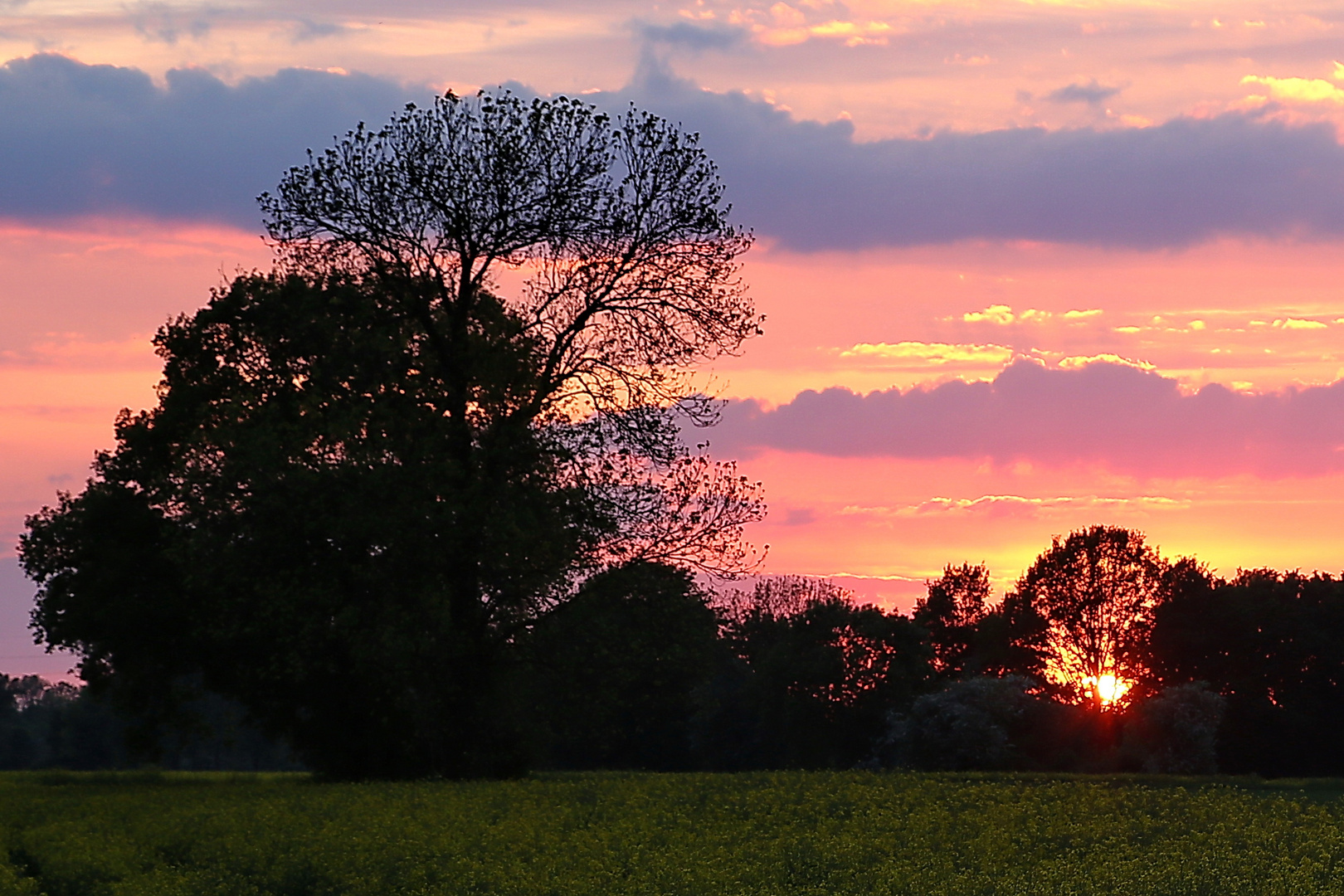 Der Himmel wär dann rosa...