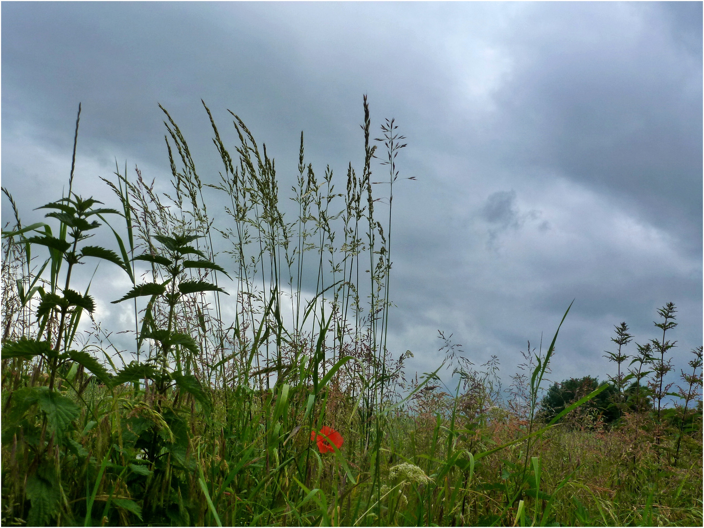 Der Himmel war grau ...