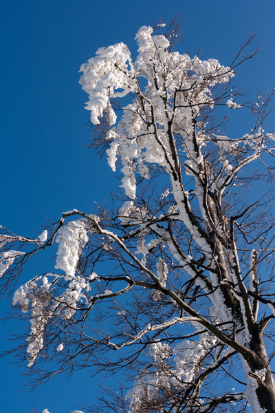 Der Himmel war so blau!