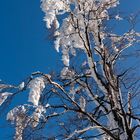 Der Himmel war so blau!