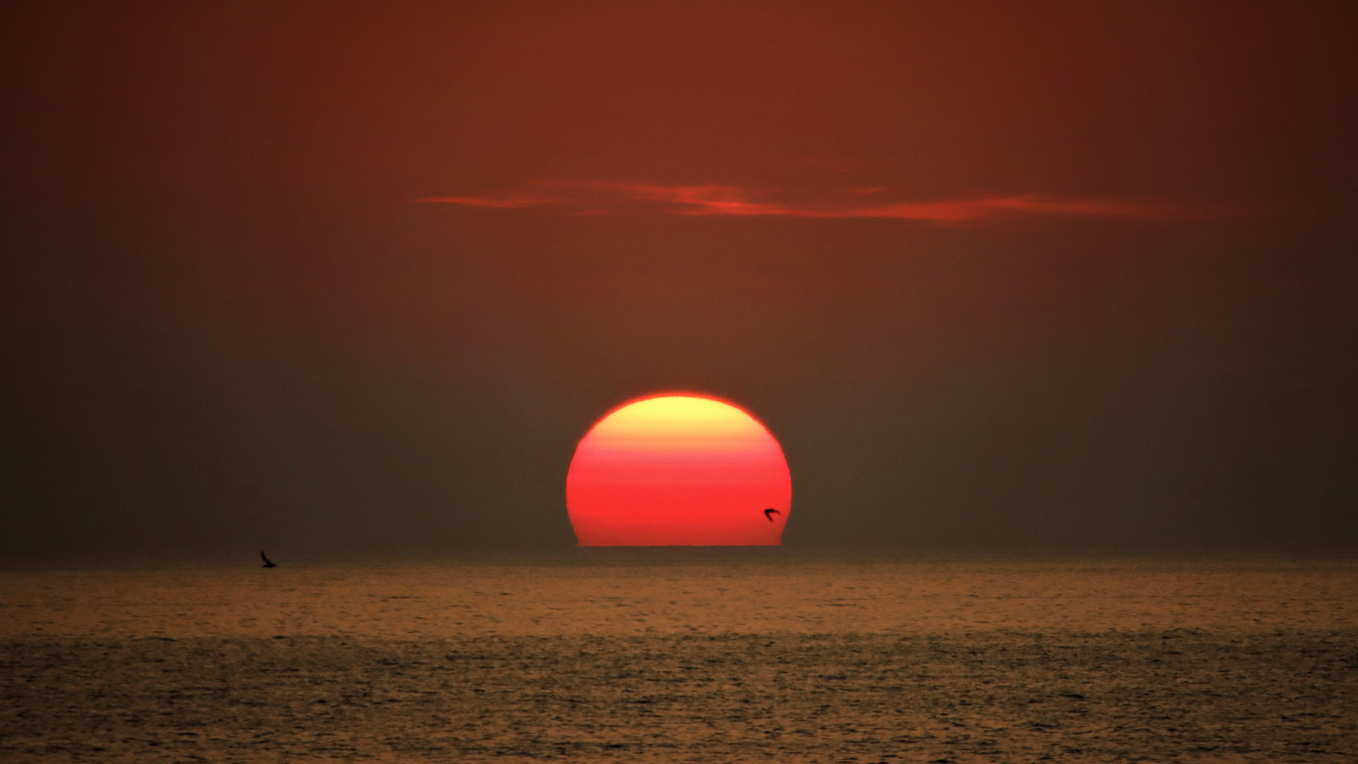 Der Himmel zeigt die schönsten Farben.....