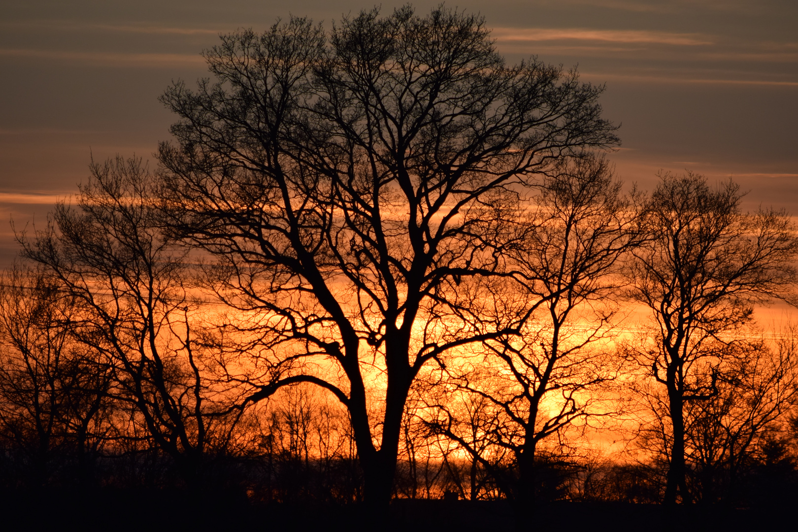 Der Himmer brennt II