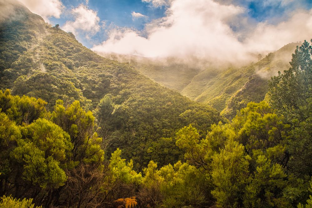 Der Himmer reißt auf, Foto & Bild urlaub, bäume, baum Bilder auf