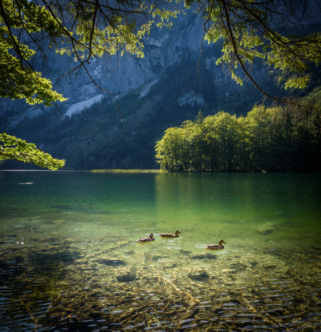 Der hintere Langbathsee