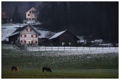 Der hintere Rueberbomm