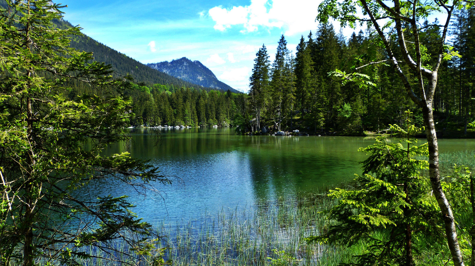 Der Hintersee 