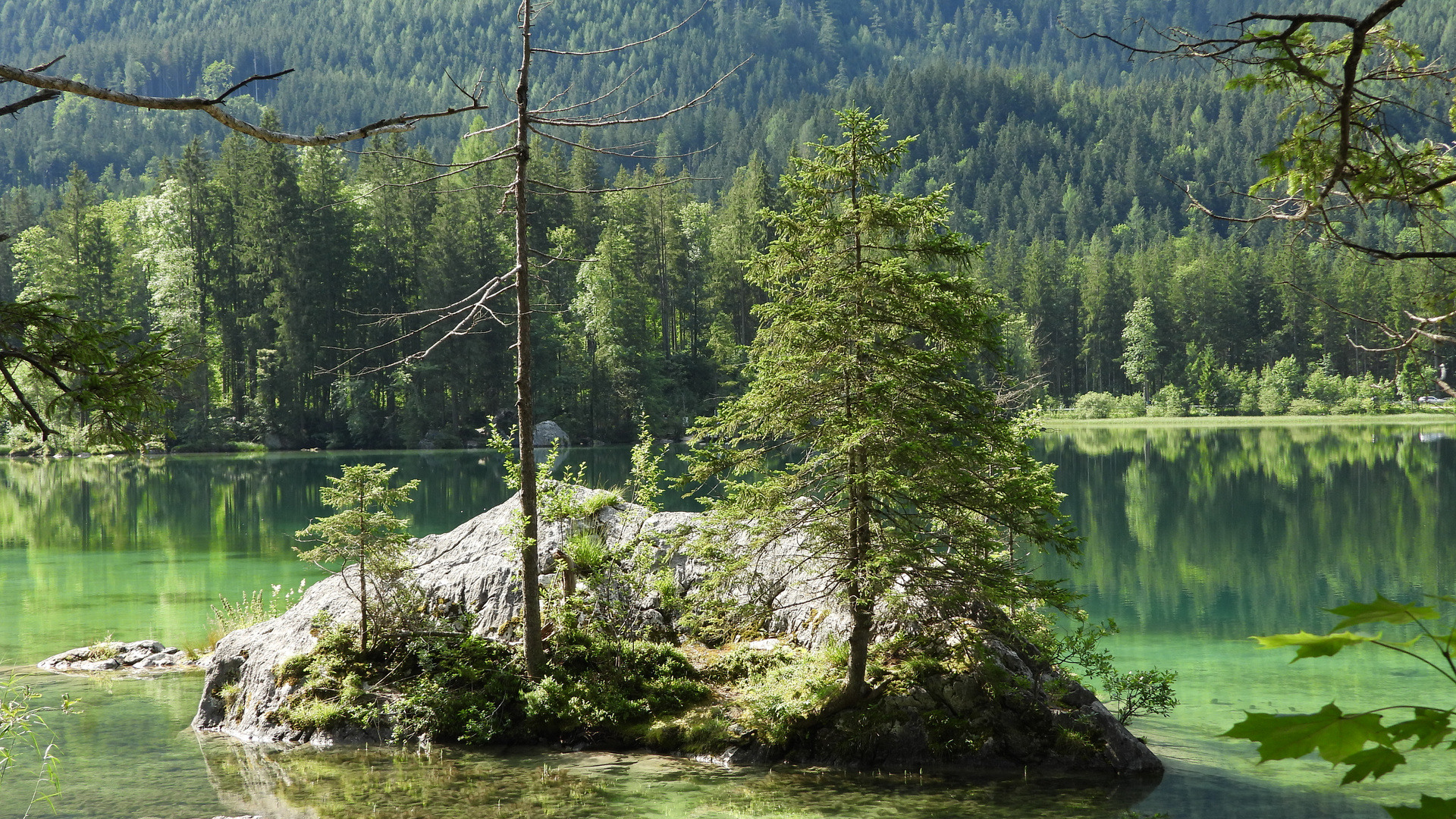 Der Hintersee