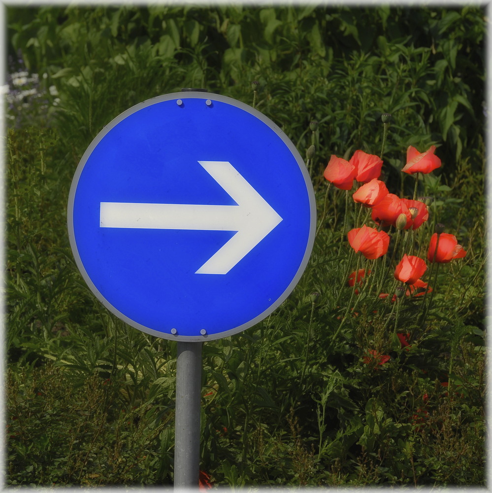 DER HINWEIS AUF SCHÖNE BLUMEN