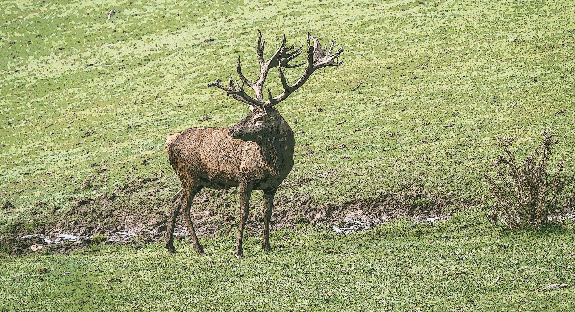 Der Hirsch