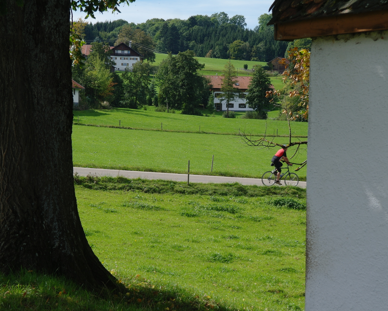 der Hirsch ist mit dem Radl da