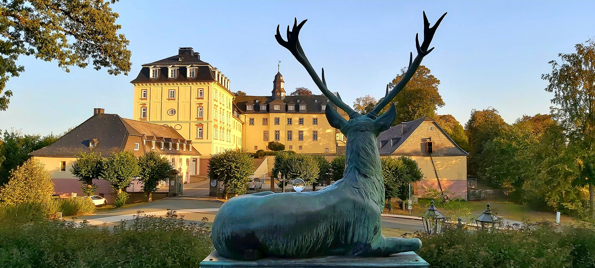 Der Hirsch über Schloss Wittgenstein...