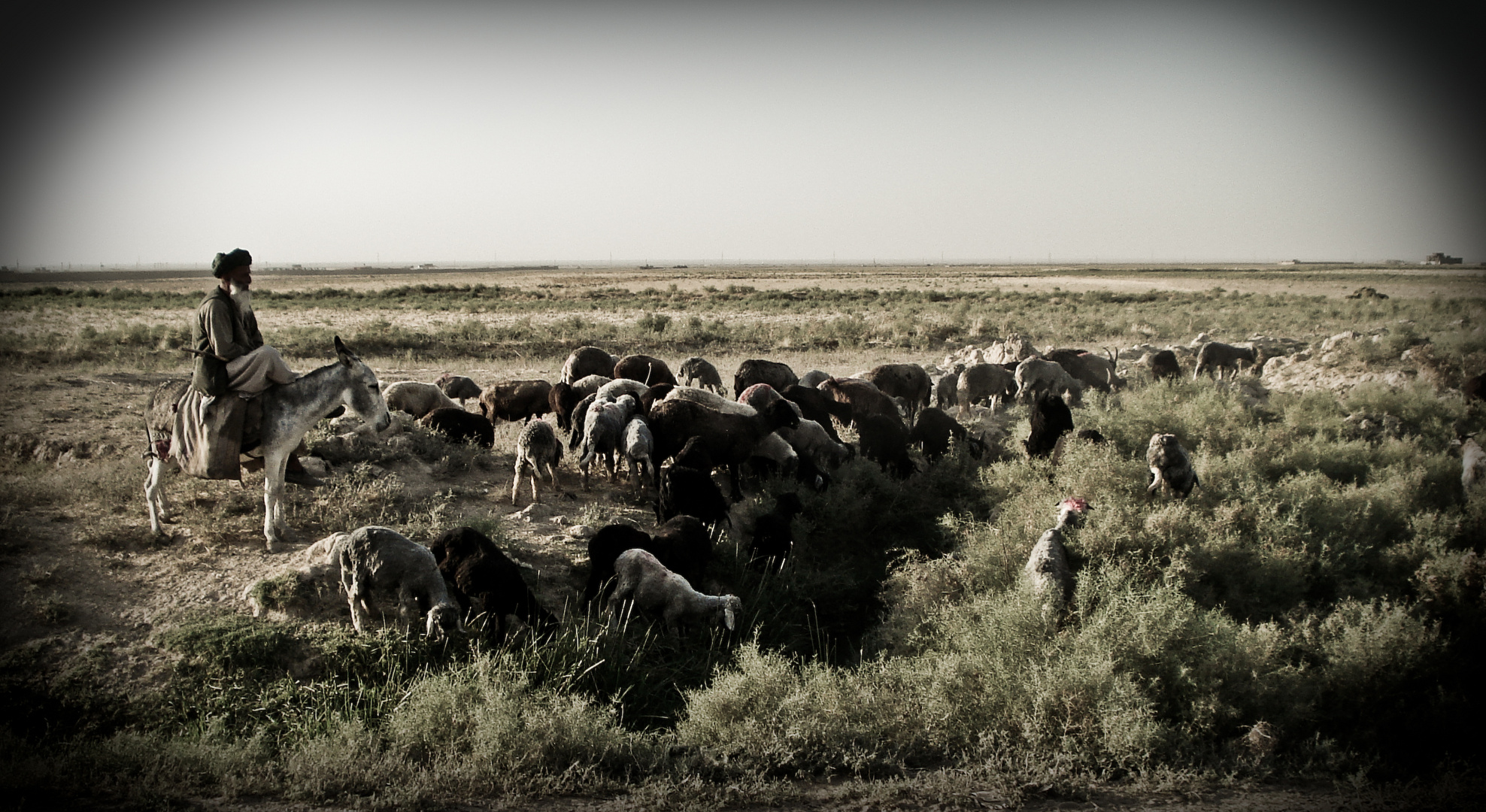 Der Hirte (Mazar-e-Sharif)