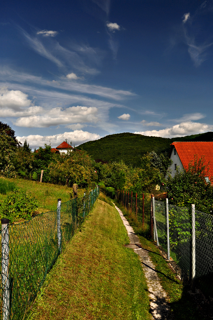 Der Hirtenweg