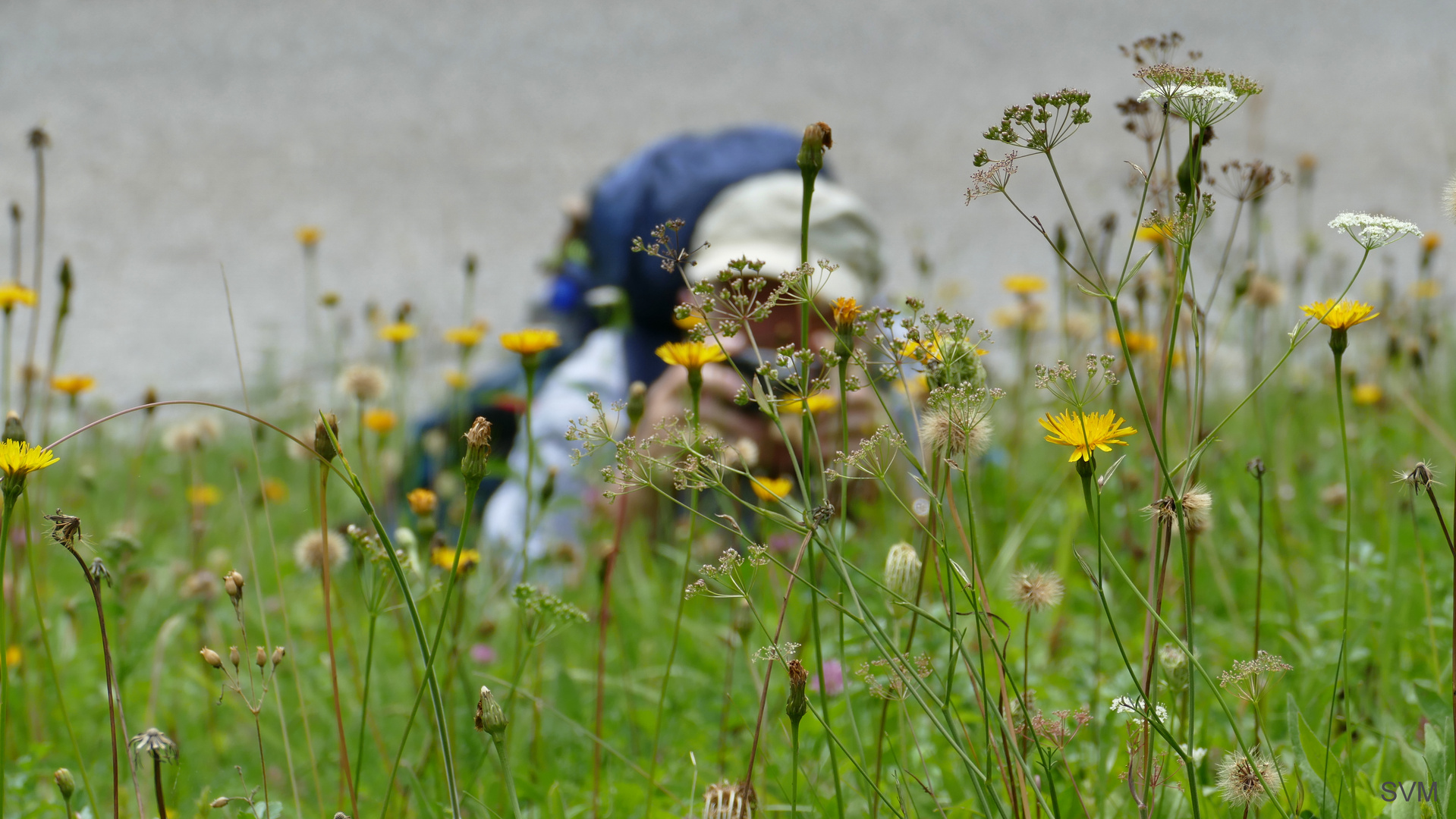 Der Hobbyfotograf